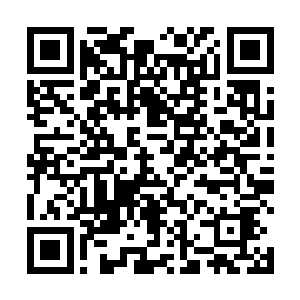 而且张盼丽更是在网上找了许多君陌非年轻时候的照片二维码生成