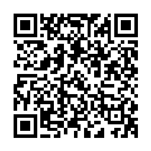 而且当他们拍摄的时候走上去才惊讶的发现这竟然是天然草皮二维码生成