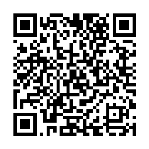 而且当初他们内门的弟子还经常在一起谈论过许天狼二维码生成