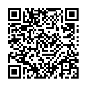 而且必须是这个队伍里面有数十个九鼎高手的情况下二维码生成