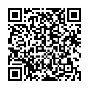 而且您老确定您儿子和儿媳生了孩子会将宝宝交给您带么啊二维码生成