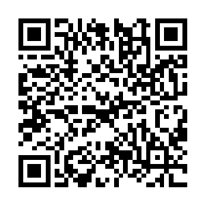 而且感受气息还不是祁清尘那种刚入封王级的弱者二维码生成