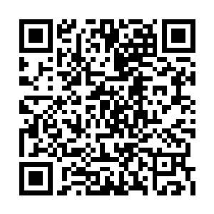 而且我们也不能把所有的筹码都压在那一条路上二维码生成