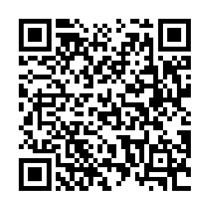 而且我们和轮回狱外面的战友们也没有建立可靠的联系二维码生成