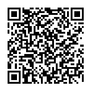 而且我们已经在好几个城市都好奇的去观看那种广场舞……看起来很有趣哦二维码生成
