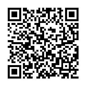 而且我们给唐州贡献的税收也不是他们可比的吧二维码生成