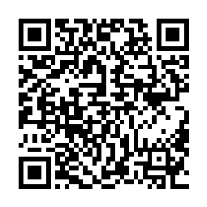 而且我们输送进入宋长老体内的先天真气都不带有攻击性二维码生成