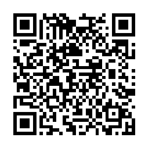 而且我发现呆爷他们这些人的体力也不是我能比的二维码生成