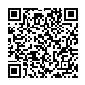 而且我听说大荒战院今年投入了大把资源来建设炼器系二维码生成
