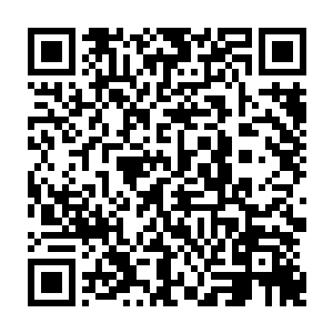 而且我相信小蕴和小畅他们两个人应该是向他们的爷爷和奶奶承认了过失和错误二维码生成