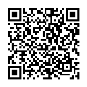 而且我看他们放宽个十年八年这些钱款也收不上来二维码生成