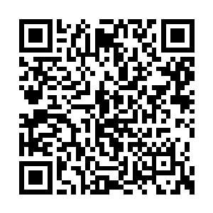 而且我能感应到天意对主宰的限制已经在放松了二维码生成