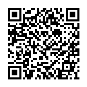 而且我要警告你们的是……这次的任务不是演习二维码生成