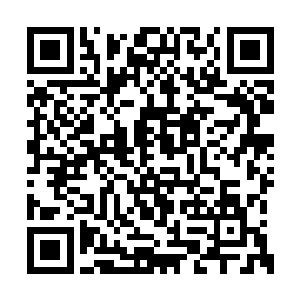 而且我觉得伊娜那么大牌的明星肯定不会来三江二维码生成