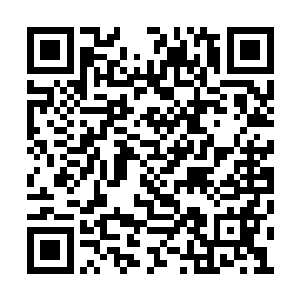 而且我觉得蓝莓基地这件事和王白丽肯定没关系二维码生成