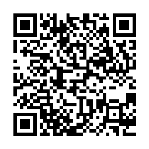 而且我认为自己所擅长的东西跟一个职业士兵并没有太大的区别二维码生成