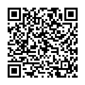 而且我还是传说中的尸王血脉……怎么能够憋屈的死在这里二维码生成