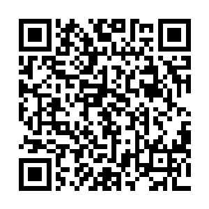 而且我还有重要的事情要跟这些大能和势力领袖们商量呢二维码生成