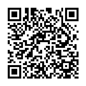 而且所有衣服也看起来是同一枇――今天的服装和二维码生成