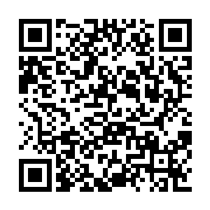 而且据闻当年阿波菲斯虽然屠光了仙界的众强者二维码生成