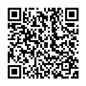 而且整一张开来上下各有好几对这样的牙齿看着人让胆寒不己二维码生成