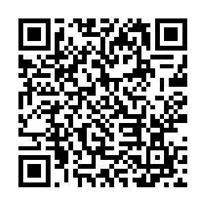 而且整个大青山上还有五十多个青壮劳力在公司上班二维码生成