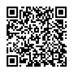 而且整个龙家北方族地被杀戮一空许家也很快会知道二维码生成