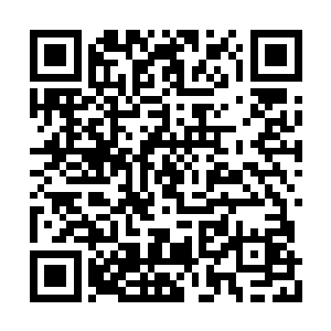 而且无一例外的都对获得一份免费仙茶表示惊喜二维码生成