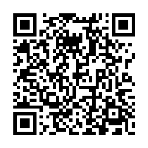 而且无冤无仇谁没事特意跑到神鹰城斩杀江逸啊二维码生成