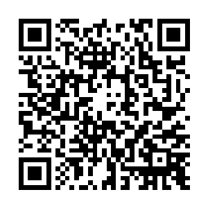 而且明显这两枚子弹不仅和李敏进中的那个子弹不同规格二维码生成