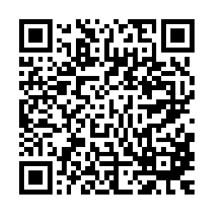 而且是以踏脚石的奉献精神让自己走上大地骑士高峰的魔族骑士二维码生成