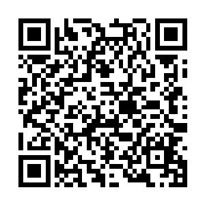 而且是在我褂子内侧抓着我的内口袋倒立着睡着了二维码生成
