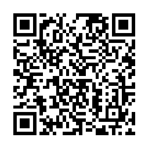 而且是在机场打电话要大家都过去看家里最值钱的东西二维码生成