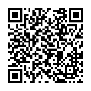 而且是大灾变之后对抗神灵和邪恶生物的强大盟友二维码生成