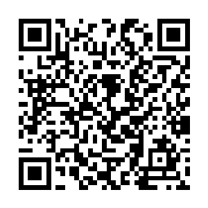 而且是满带瞄具附件那种一看就是高级货的枪械武装二维码生成