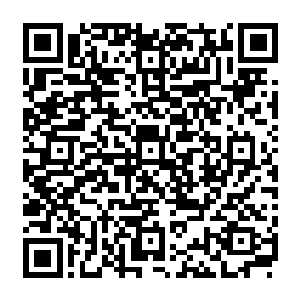 而且是燕子坞乃至整个华夏最年轻的天道境高手――我们叶家有理由为此大肆庆祝一番二维码生成