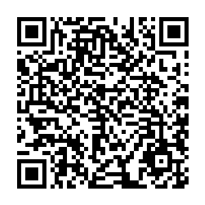 而且更主要的是它们已经很久很久没有感受到来自人类的友爱和关心了二维码生成