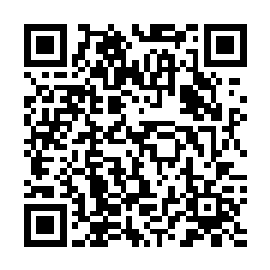 而且更重要的这份见识和看法远远超出了同龄入的认知度二维码生成