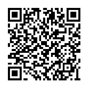 而且最近刚刚加入撒旦的彼得和雷布罗夫也没有二维码生成