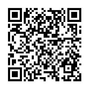 而且最重要的是在外门山门处放置两个金刚玉傀儡二维码生成