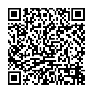 而且最重要的是许紫烟知道如果在炼制万灵丹的过程中加入一滴仙洁花的花汁二维码生成
