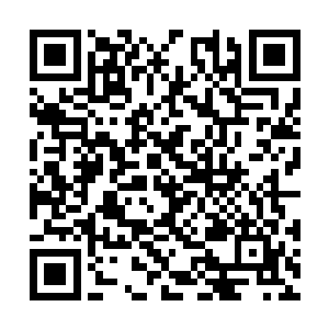 而且有一些不知道什么时候从头顶的树叶上落下来二维码生成