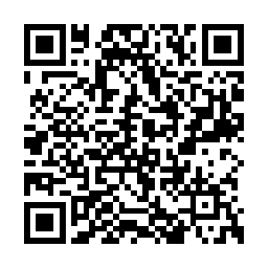 而且有几次好像是在对方的年夜饭上将对方杀掉二维码生成