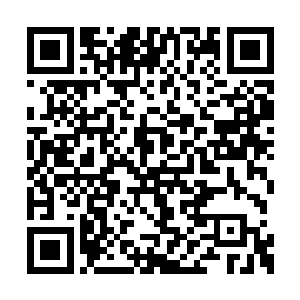 而且极力主张将家族的精英少年弟子送入太虚宗二维码生成