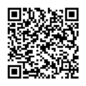 而且标记字母的页码也差不多也都是在几百页之后二维码生成