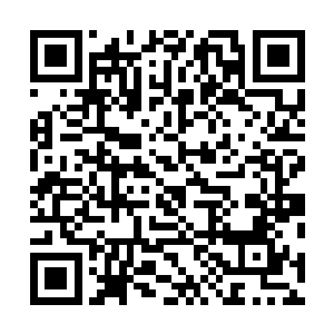 而且梓箐压根就不认为在竞争如此激烈的逆袭任务剧情中二维码生成