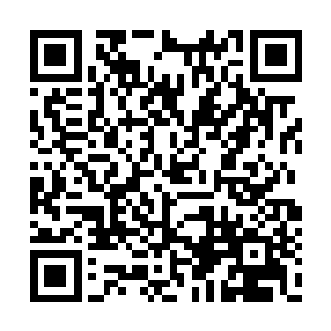 而且梓箐现在的身手也不是随便哪个就能近身的二维码生成