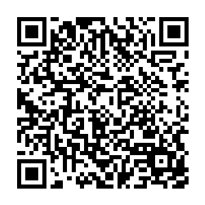 而且正好上次天圣宗那几个门派的家伙的事情也应该跟长老堂汇报一下二维码生成