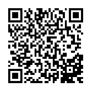 而且此时他们也都知道在日耀城星辰冒险团有着一个庞大的驻地二维码生成