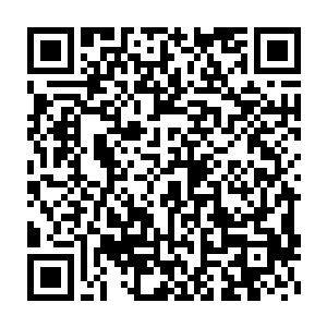 而且每一个元力巨人所爆发出来的力量都具有着人尊初期巅峰的威能二维码生成